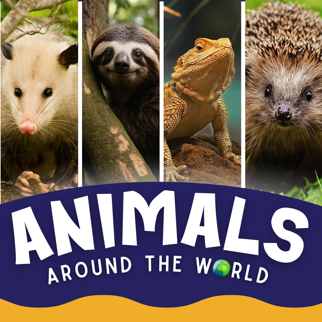 Animals Around the World